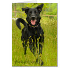 Bella, Happy to See You!