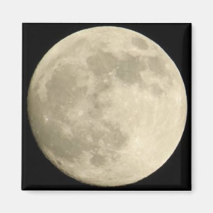Bella Luna Magnet