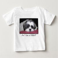 Belle The Shih Tzu Dog