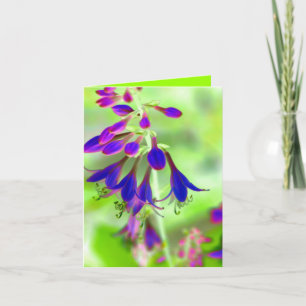 Bellflowers Card