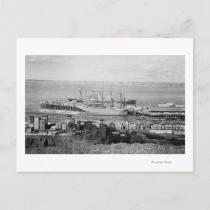 Bellingham, WA Docks View of Lumber Ships Postcard