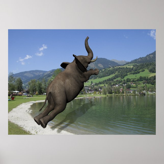 Belly Flop Elephant Poster (Front)
