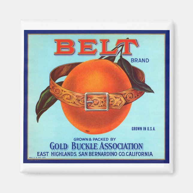 Belt Brand California Oranges Magnet (Front)