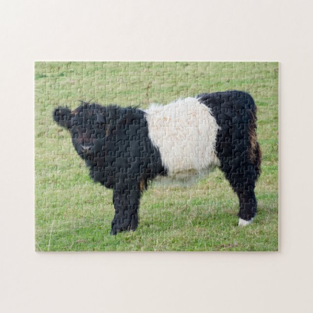 Belted Galloway Calf Jigsaw puzzle (Horizontal)