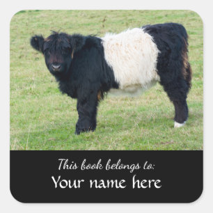 Belted Galloway Calf "This book belongs to..."  Sq Square Sticker