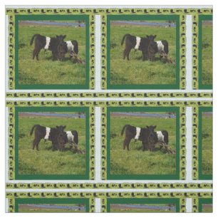 Belted Galloway Calves In The Country, Fabric