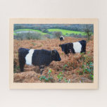 Belted Galloway cattle Jigsaw Puzzle<br><div class="desc">Belted Galloway cattle by Helen A. Lisher.</div>