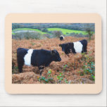 Belted Galloway cattle Mouse Pad<br><div class="desc">Belted Galloway cattle by Helen A. Lisher.</div>