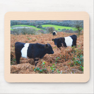 Belted Galloway cattle Mouse Pad