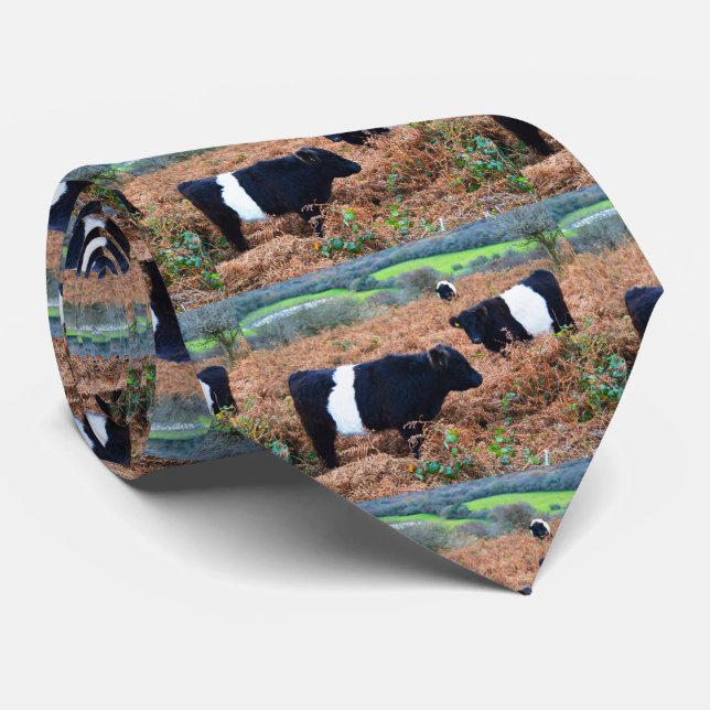 Belted Galloway cattle Tie (Rolled)