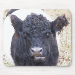 Belted Galloway Cow - Emma Mouse Pad