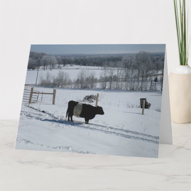 Belted Galloway Cow in a Snowy Landscape Card (Front)