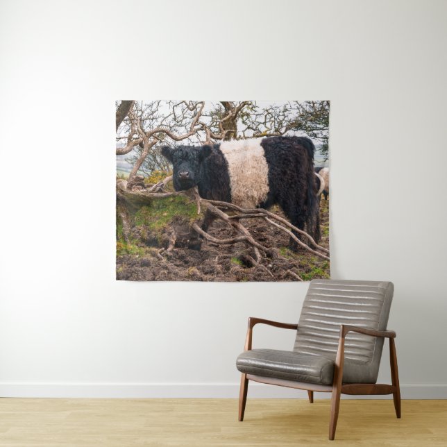 Belted Galloway Cow Standing by Fallen Tree  Tapestry (In Situ (Horizontal))