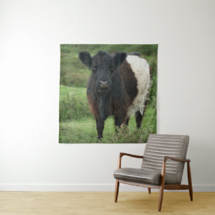 Belted Galloway Cow Tapestry