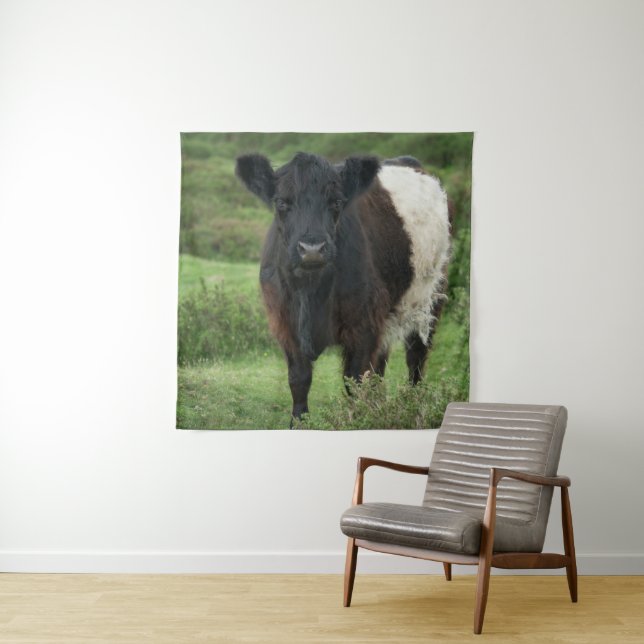 Belted Galloway Cow Tapestry (In Situ)
