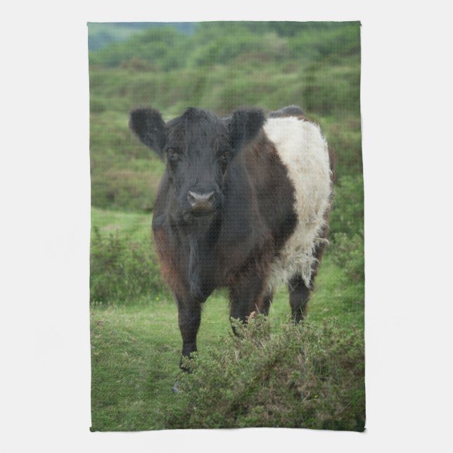 Belted Galloway Cow Tea Towel (Vertical)