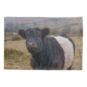 Belted Galloway Standing Proud on Dartmoor Farmlan Pillowcase