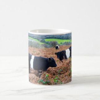 Belted Galloways Coffee Mug