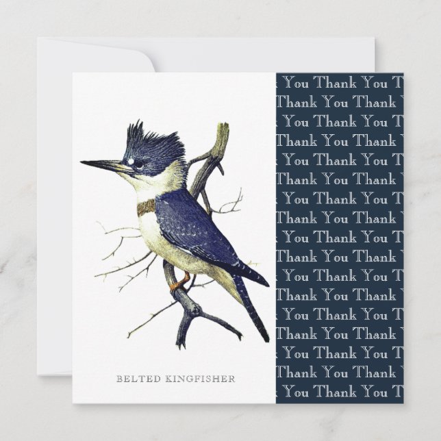 Belted Kingfisher Bird Lovers Artwork Custom Thank You Card (Front)