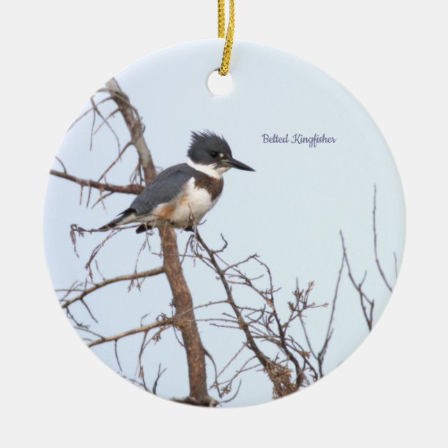 Belted Kingfisher Bird Ornament  (Front)