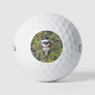 Belted Kingfisher Golf Balls