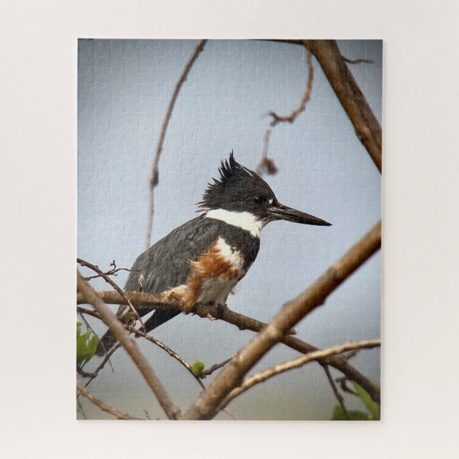 Belted Kingfisher Jigsaw Puzzle (Vertical)