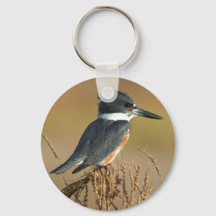 Belted Kingfisher Key Ring