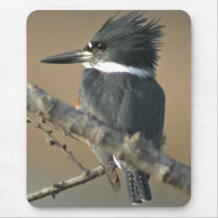 Belted Kingfisher Mouse Pad
