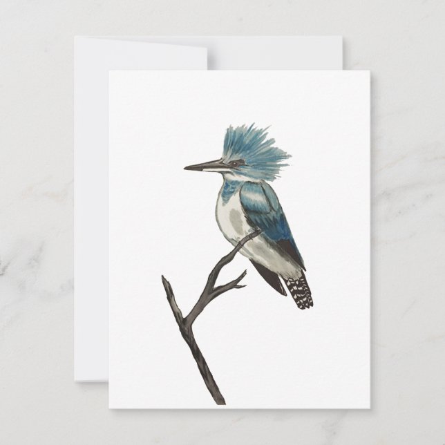 Belted Kingfisher Note Card (Front)