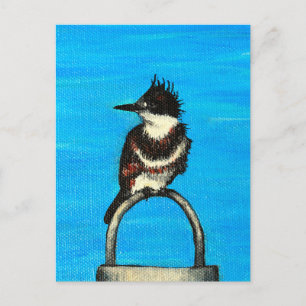 Belted Kingfisher Painting Postcard