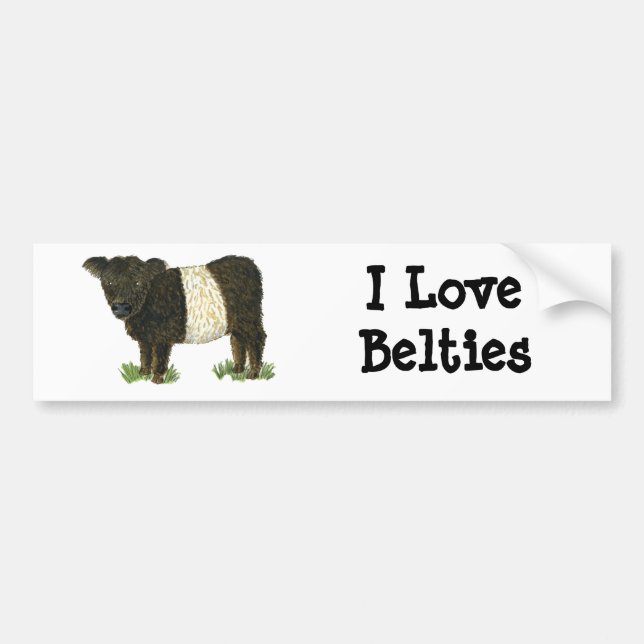 'Beltie' Belted Galloway Bumper Sticker (Front)