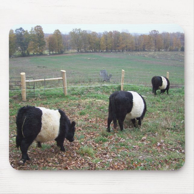 Beltie Cow Herd Along a Trail Mouse Pad (Front)