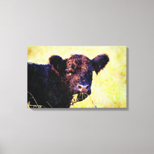 Beltie Cow Watercolor Painting Belted Galloway Art Canvas Print