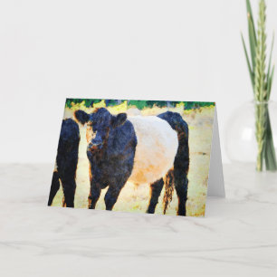 Beltie Cow Watercolor Painting Belted Galloway Art Card