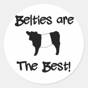 Belties are the Best Gorgeous Belted Galloway Cow Classic Round Sticker