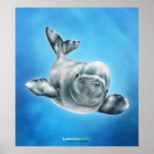 Beluga - Poster