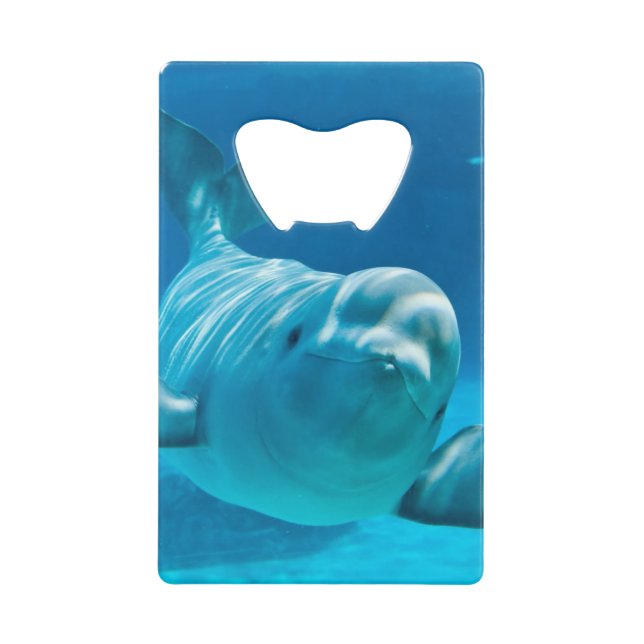 Beluga Whale (Front)