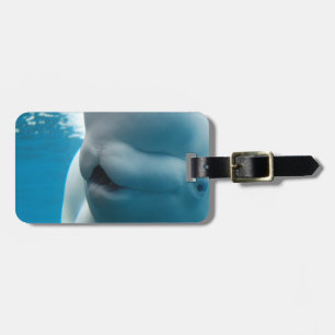 beluga-whale-27.jpg luggage tag
