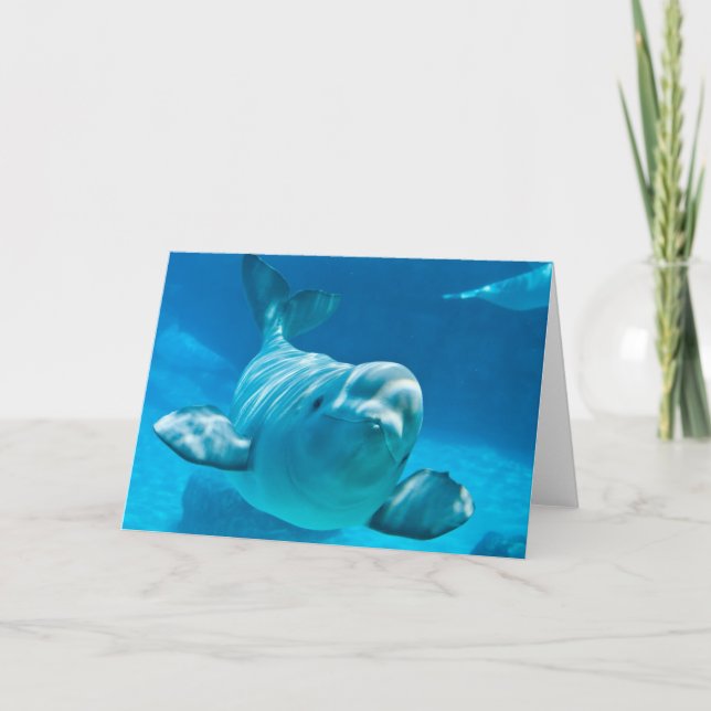 Beluga Whale Card (Front)
