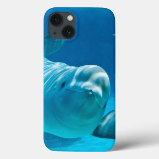 Beluga Whale iPhone 13 Case