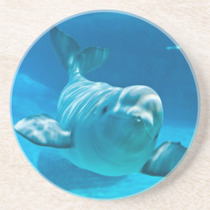 Beluga Whale Coaster