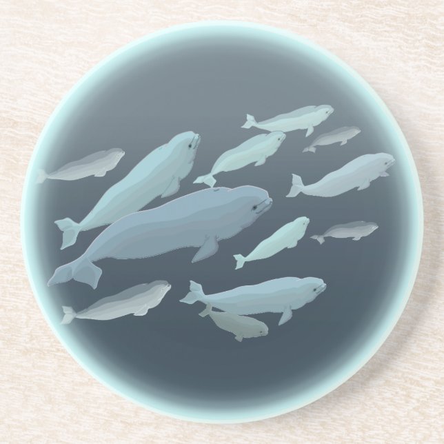 Beluga Whale Coasters Whale Art Drink Coaster (Front)