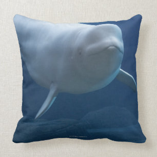 Beluga whale (Delphinapterus leucas) Cushion