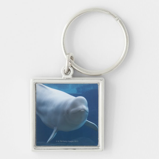 Beluga whale (Delphinapterus leucas) Key Ring (Front)