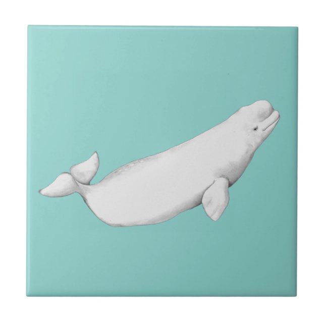 Beluga Whale Illustration Whale Lover Gift Blue Tile (Front)