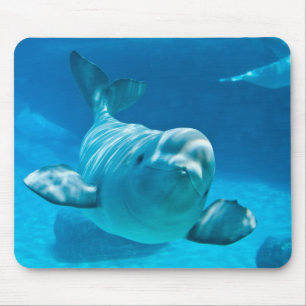 Beluga Whale Mouse Pad