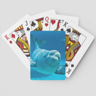 Beluga Whale Playing Cards
