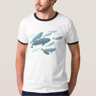 Beluga Whale Ringer T-Shirt White Whale Art Shirts