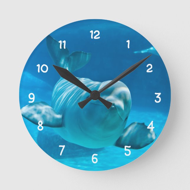 Beluga Whale Round Clock (Front)