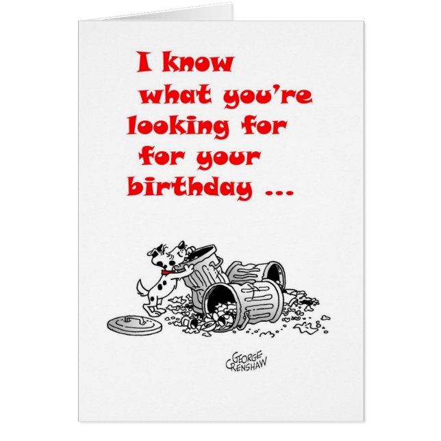 Belvedere In The Trash Cans (Front)